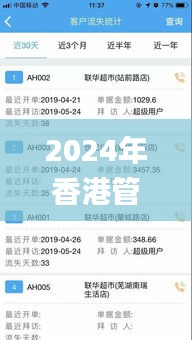 2024年香港管家婆资料图,数据导向设计解析_VR版2.808