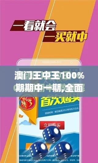 澳门王中王100%期期中一期,全面设计执行方案_进阶版2.377