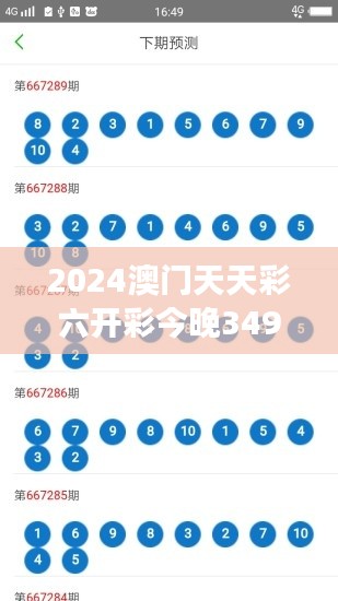 2024年12月14日 第40页