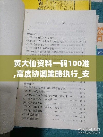 黄大仙资料一码100准,高度协调策略执行_安卓7.429