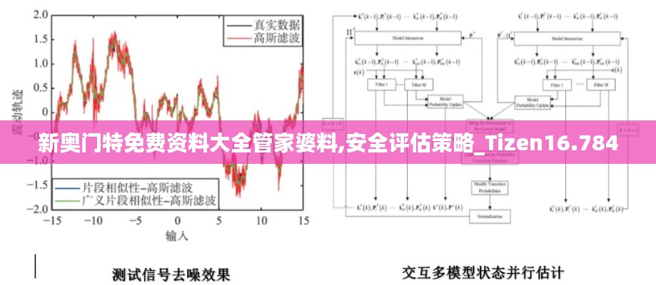 新奥门特免费资料大全管家婆料,安全评估策略_Tizen16.784