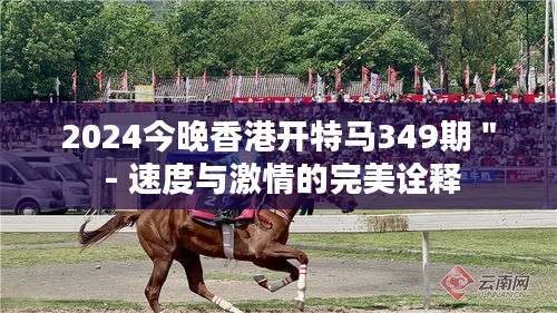 2024今晚香港开特马349期＂ - 速度与激情的完美诠释