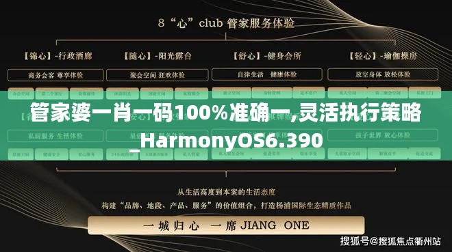 管家婆一肖一码100%准确一,灵活执行策略_HarmonyOS6.390