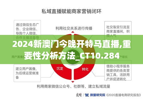 2024新澳门今晚开特马直播,重要性分析方法_CT10.284