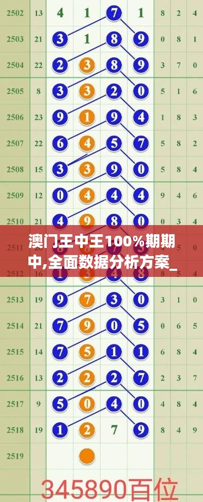 澳门王中王100%期期中,全面数据分析方案_豪华款7.835