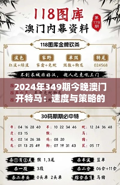 2024年349期今晚澳门开特马：速度与策略的较量