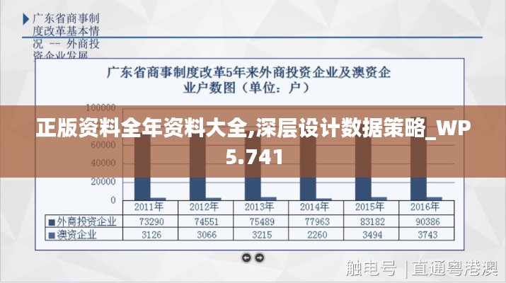 正版资料全年资料大全,深层设计数据策略_WP5.741