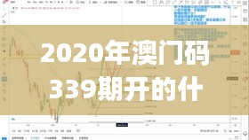 2020年澳门码339期开的什么,实时信息解析说明_Phablet11.942