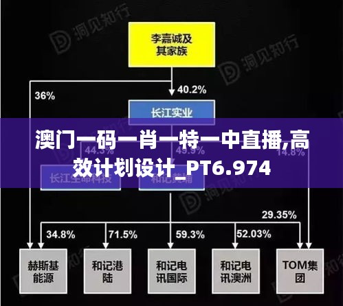 澳门一码一肖一特一中直播,高效计划设计_PT6.974