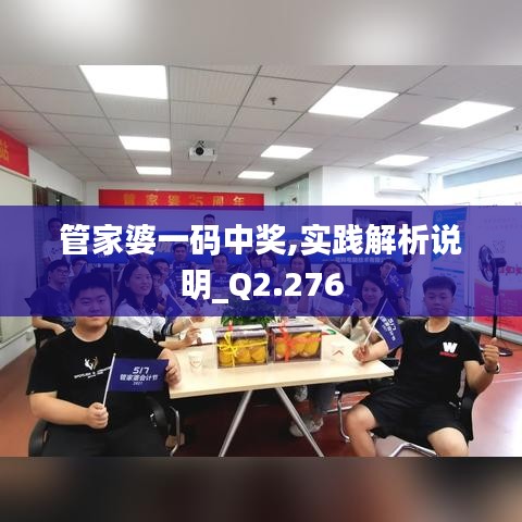 管家婆一码中奖,实践解析说明_Q2.276