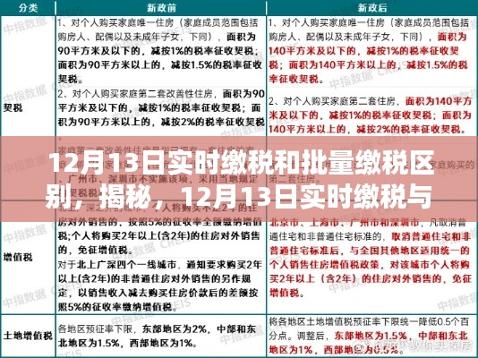 揭秘，实时缴税与批量缴税的区别，12月13日缴税差异解析