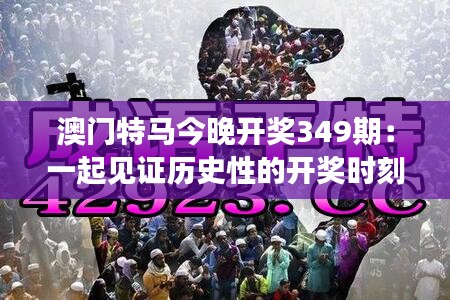 澳门特马今晚开奖349期：一起见证历史性的开奖时刻