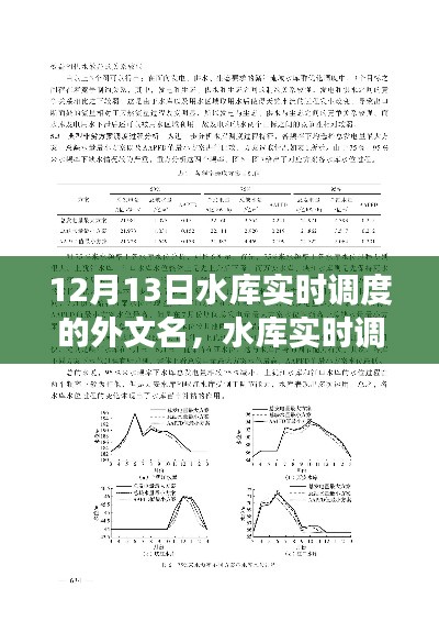 水库实时调度外文译名解析，以观察点12月13日为例