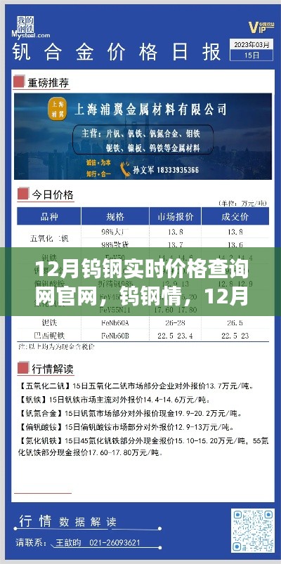 12月钨钢实时价格官网，友情与温暖交织的钨钢情价格之旅