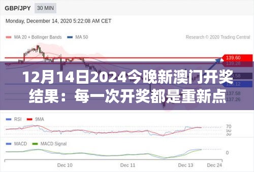 12月14日2024今晚新澳门开奖结果：每一次开奖都是重新点燃希望的过程。