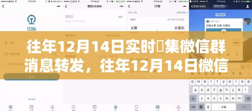 往年12月14日微信群消息实时采集与转发攻略，策略与技巧分享