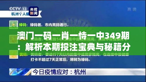 澳门一码一肖一恃一中349期：解析本期投注宝典与秘籍分享