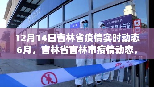 吉林省吉林市疫情动态深度观察与回顾——十二月十四日的实时动态报告