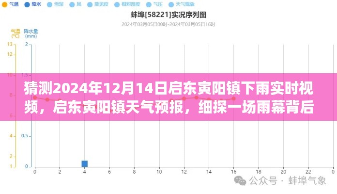 启东寅阳镇雨幕背后的故事，天气预报与实时视频探索（2024年12月14日）