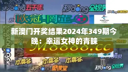 新澳门开奖结果2024年349期今晚：幸运女神的青睐