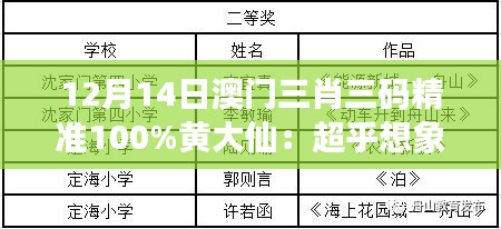 12月14日澳门三肖三码精准100%黄大仙：超乎想象的中奖体验