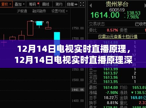 2024年12月14日 第11页