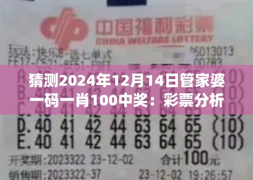 猜测2024年12月14日管家婆一码一肖100中奖：彩票分析的心理学视角