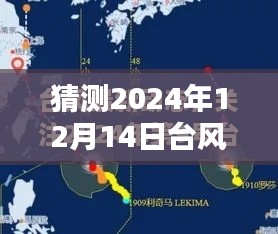 台风塔巴预测，2024年12月14日实时路径分析与评测报告