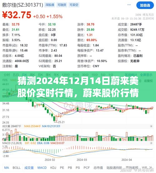 蔚来股价行情展望，解析蔚来在2024年12月14日的股价实时行情预测及展望