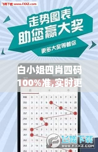 白小姐四肖四码100%准,实时更新解析说明_复刻版11.246