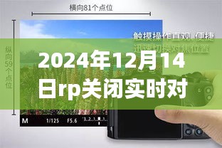 2024年12月15日 第79页