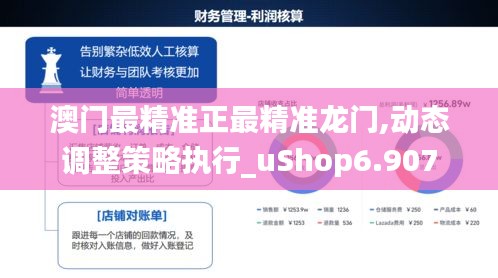 澳门最精准正最精准龙门,动态调整策略执行_uShop6.907