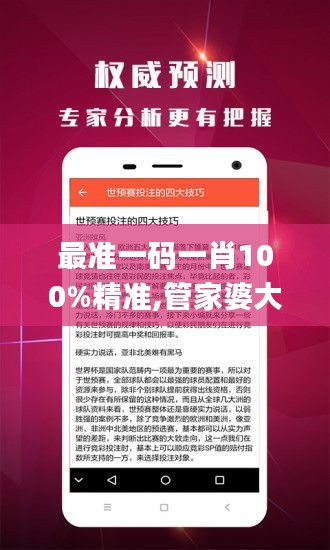 最准一码一肖100%精准,管家婆大小中特,整体执行讲解_战略版10.291