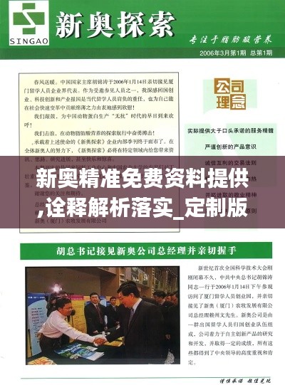 新奥精准免费资料提供,诠释解析落实_定制版1.740