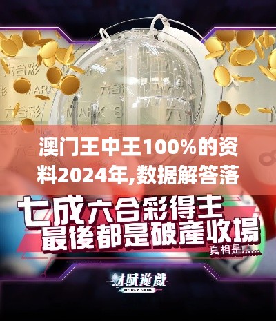 澳门王中王100%的资料2024年,数据解答落实_T8.980