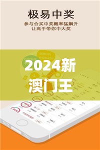 2024新澳门王中王正版,深度分析解释定义_5DM3.257