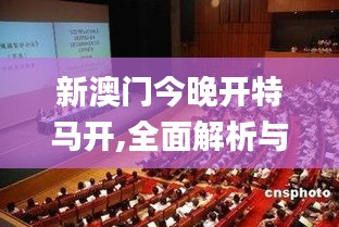 新澳门今晚开特马开,全面解析与深度体验_黄金版12.796