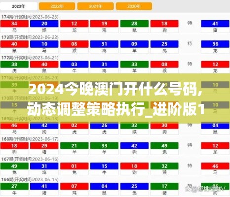 2024今晚澳门开什么号码,动态调整策略执行_进阶版19.345