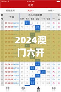 2024澳门六开奖彩查询记录,可靠执行计划_2DM8.196