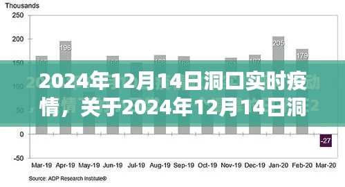 2024年12月14日洞口实时疫情全面评测与介绍