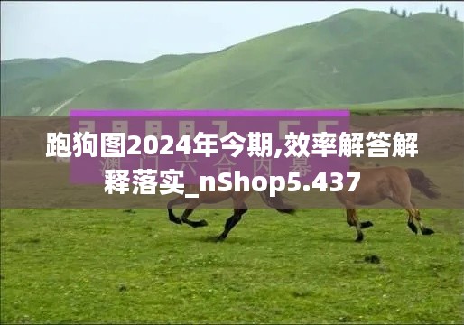 跑狗图2024年今期,效率解答解释落实_nShop5.437