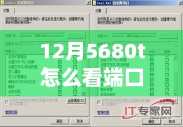 揭秘，如何监控12月5680t服务器端口实时流量，掌握网络动向的实用攻略