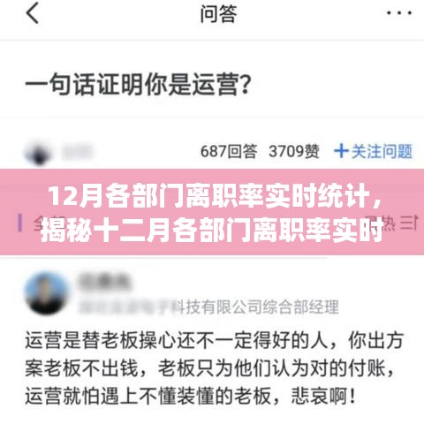 揭秘十二月各部门离职率实时统计，深度洞察职场动态与趋势分析报告