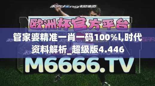 管家婆精准一肖一码100%l,时代资料解析_超级版4.446