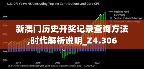 新澳门历史开奖记录查询方法,时代解析说明_Z4.306