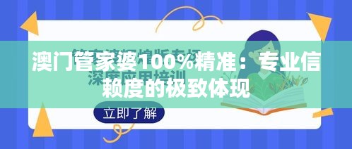 2024年12月15日 第47页