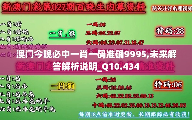 澳门今晚必中一肖一码准确9995,未来解答解析说明_Q10.434