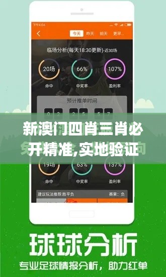 新澳门四肖三肖必开精准,实地验证数据计划_KP4.631