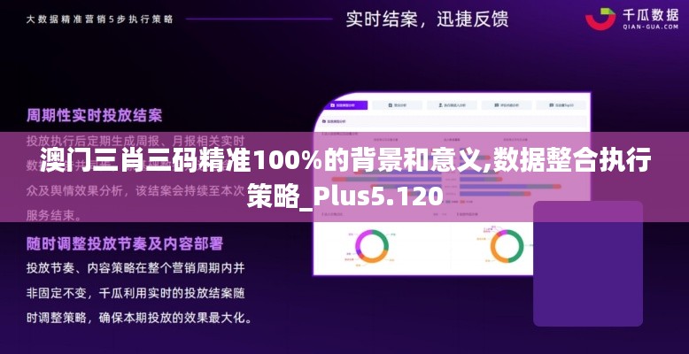 澳门三肖三码精准100%的背景和意义,数据整合执行策略_Plus5.120