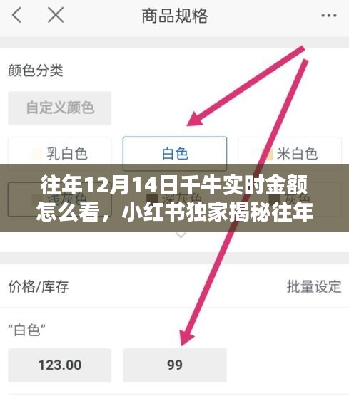 小红书独家指南，如何查看往年12月14日千牛实时金额，掌握财富动态！